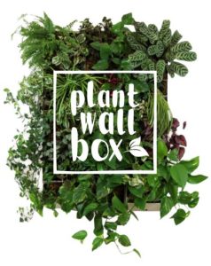 Meta Motion Webagentur Digital Nachhaltig mit Plant Wall Box 